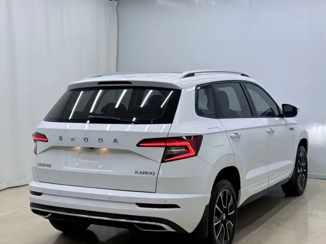 Skoda Karoq — Фото автомобиля 4