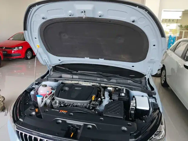 Geely Emgrand — Фото автомобиля 19
