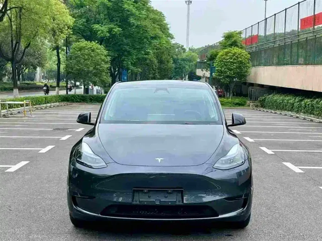 Tesla Model Y — Фото автомобиля 2
