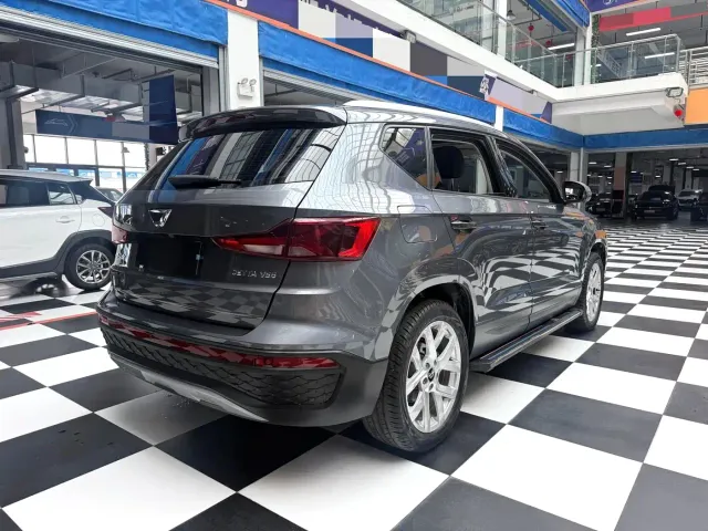 Jetta VS5 — Фото автомобиля 13