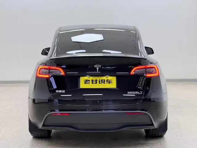 Tesla Model Y — Фото автомобиля 6