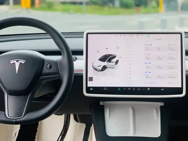Tesla Model Y — Фото автомобиля 20