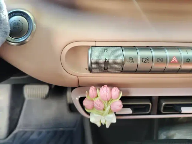 BYD Seagull — Фото автомобиля 16