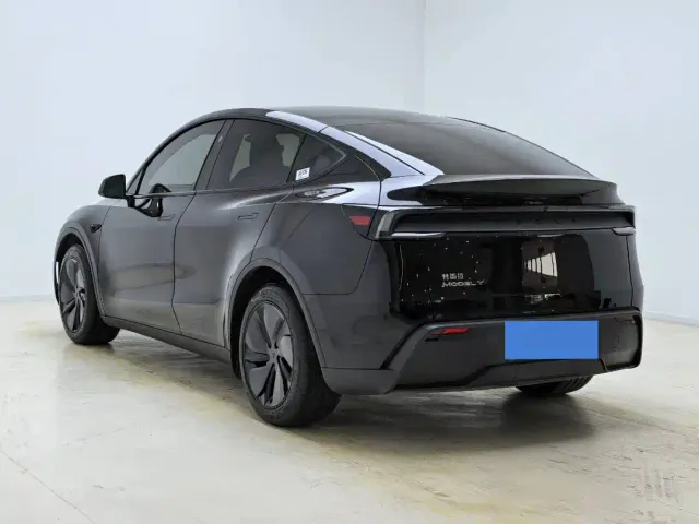 Tesla Model Y — Фото автомобиля 10