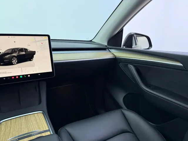 Tesla Model Y — Фото автомобиля 10