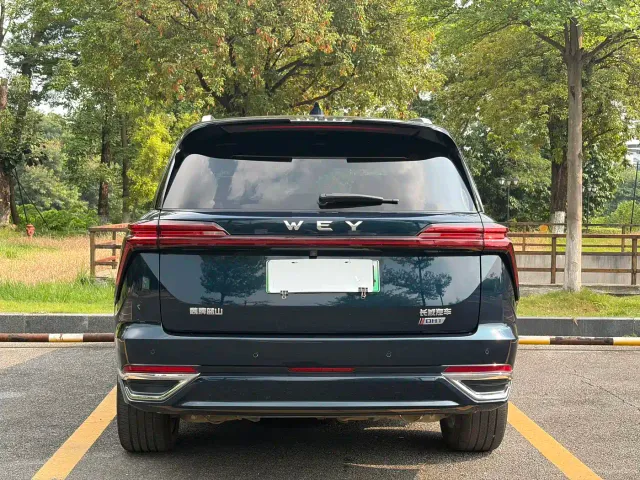 Wey Lanshan — Фото автомобиля 5