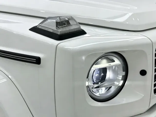 Mercedes-Benz G-Class — Фото автомобиля 28