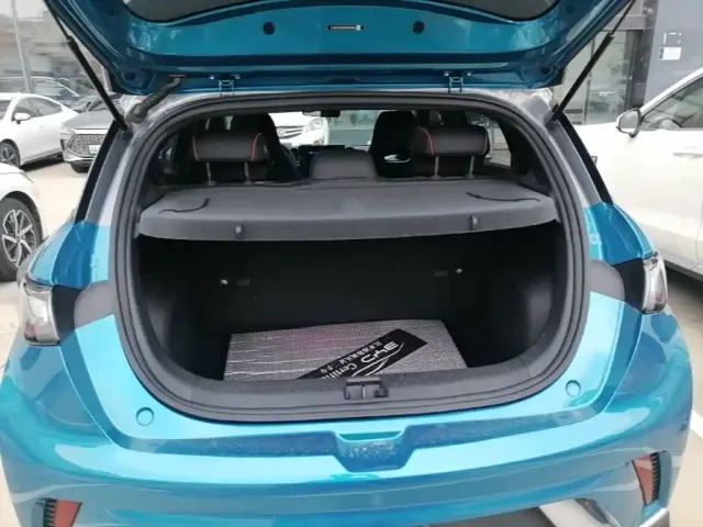 BYD Dolphin 2021 401km Knight Edition — Фото автомобиля 14