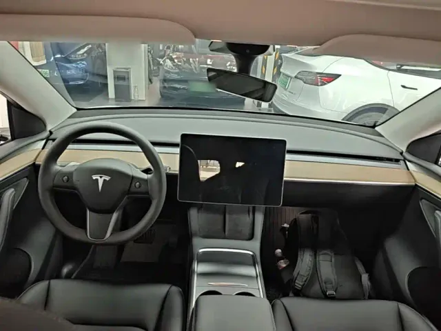 Tesla Model Y — Фото автомобиля 9