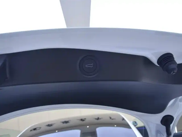 Tesla Model 3 — Фото автомобиля 13
