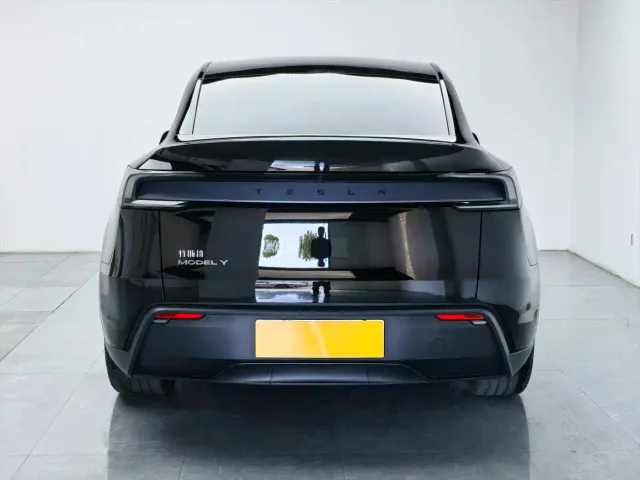 Tesla Model Y — Фото автомобиля 4