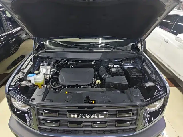 Haval Big Dog — Фото автомобиля 19