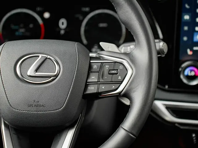 Lexus RX — Фото автомобиля 20