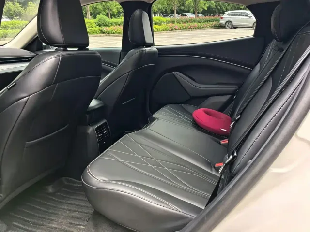 Ford Mustang Mach-E — Фото автомобиля 7