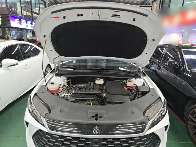 BYD Qin PLUS — Фото автомобиля 19