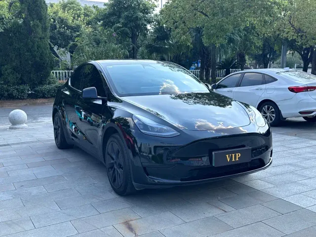 Tesla Model Y — Фото автомобиля 3