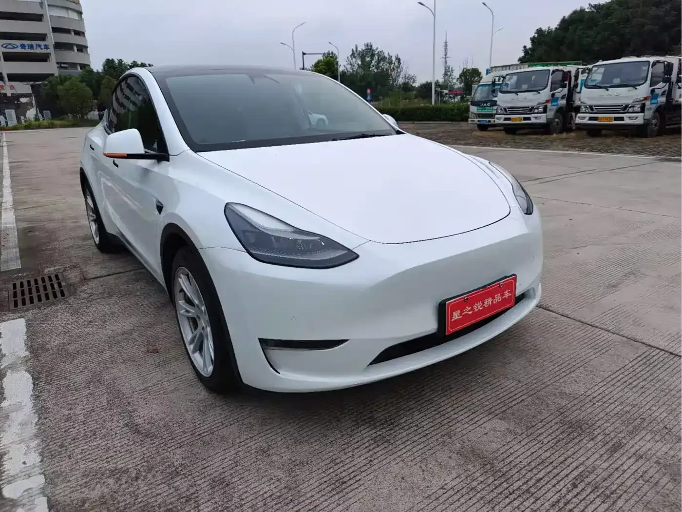 Tesla Model Y 2021 Standard Range Rear-Wheel Drive — Фото автомобиля 3