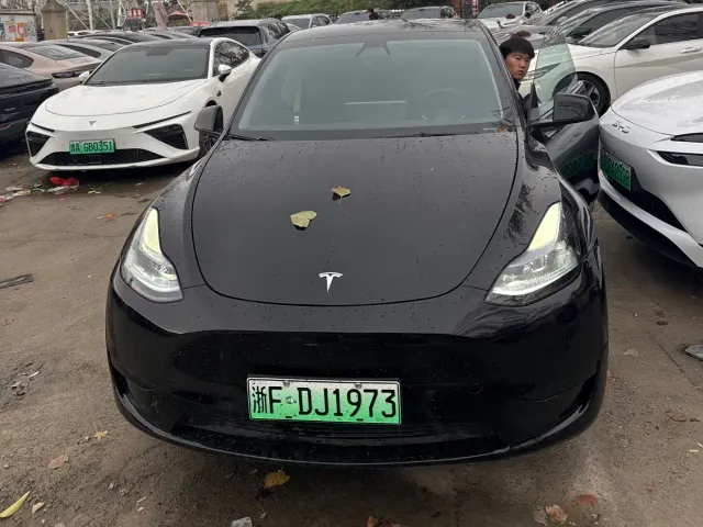 Tesla Model Y — Фото автомобиля 2