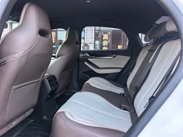 BYD Qin PLUS — Фото автомобиля 5