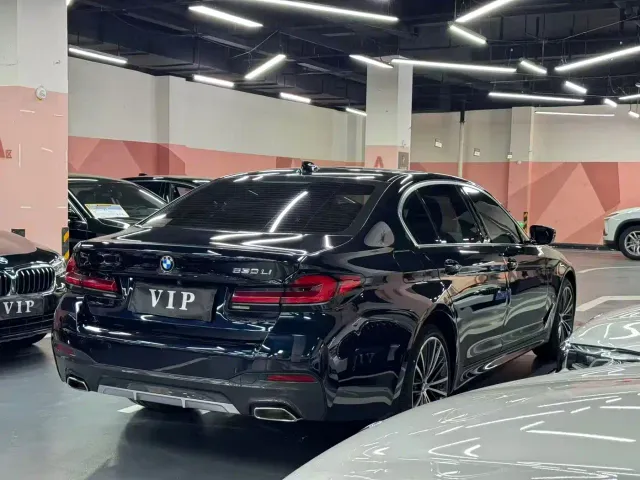 BMW 5 Series — Фото автомобиля 8