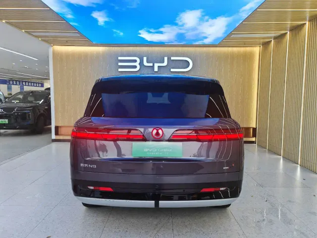 Denza N9 — Фото автомобиля 17
