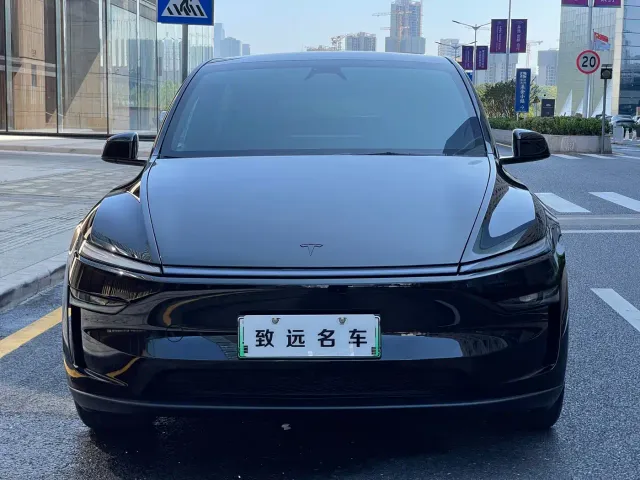 Tesla Model Y — Фото автомобиля 2