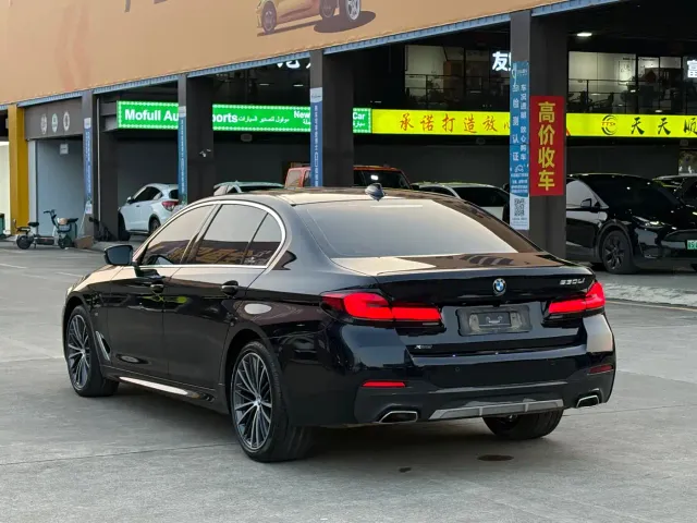 BMW 5 Series — Фото автомобиля 20