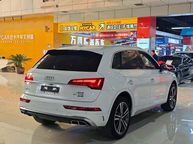 Audi Q5L — Фото автомобиля 14