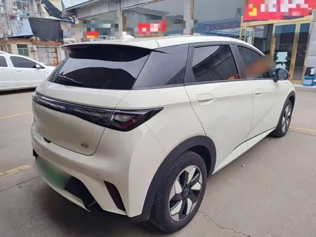 BYD Dolphin — Фото автомобиля 6