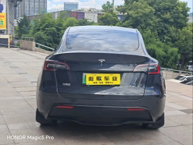 Tesla Model Y — Фото автомобиля 6
