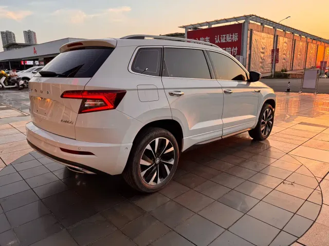 Skoda Karoq — Фото автомобиля 6