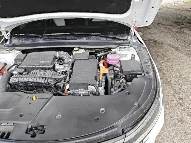BYD Qin PLUS — Фото автомобиля 21