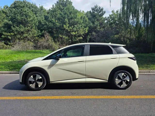 BYD Dolphin — Фото автомобиля 5