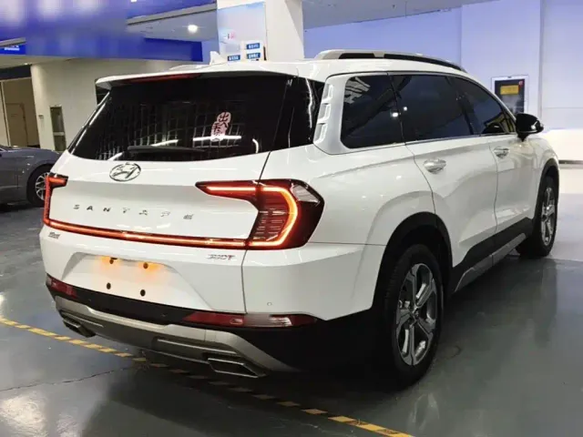 Hyundai Santa Fe — Фото автомобиля 6