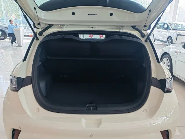 BYD Dolphin — Фото автомобиля 13