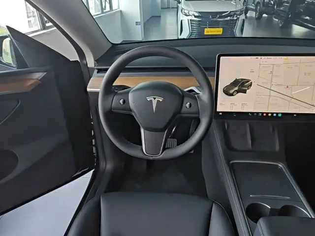 Tesla Model Y — Фото автомобиля 10