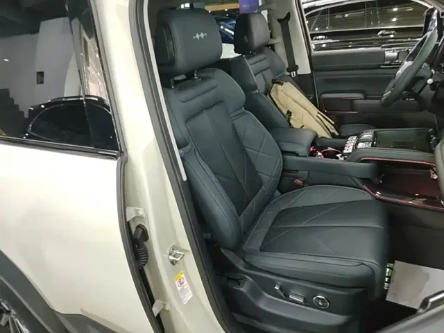 BYD FangChengBao Leopard 5 — Фото автомобиля 24