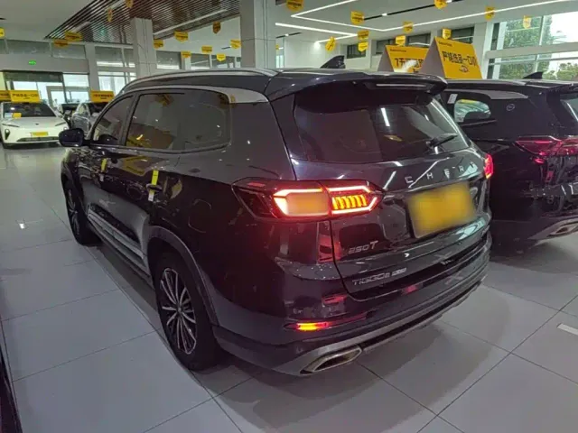 Chery Tiggo 8 PLUS 2021 290TGDI DCT Passion Edition — Фото автомобиля 4
