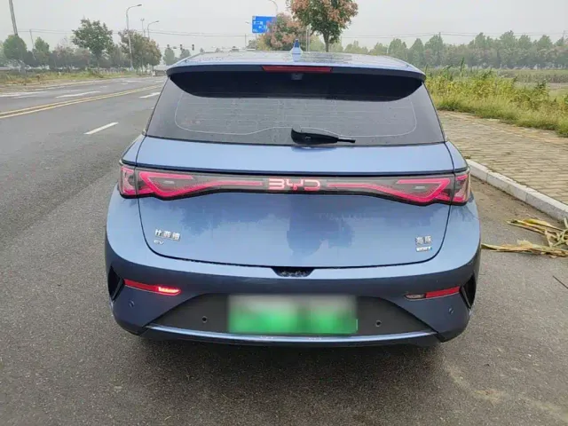 BYD Dolphin 2025 Smart Drive Edition 410km Fashion Version — Фото автомобиля 5
