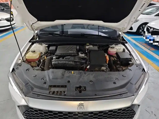BYD Qin PLUS — Фото автомобиля 19