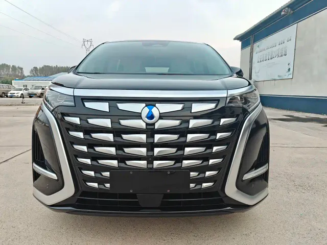 Denza Denza D9 2022 DM-i 1040 Premium — Фото автомобиля 2