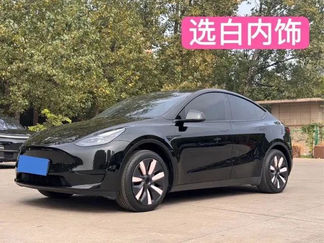 Tesla Model Y — Фото автомобиля 6