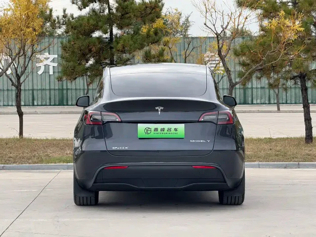 Tesla Model Y — Фото автомобиля 19