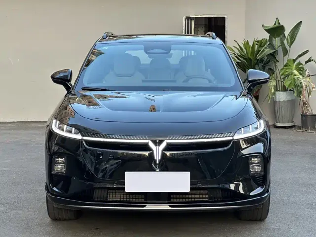 Voyah Auto Voyah Zhiyin 2024 Long Range Super Charging Edition — Фото автомобиля 2
