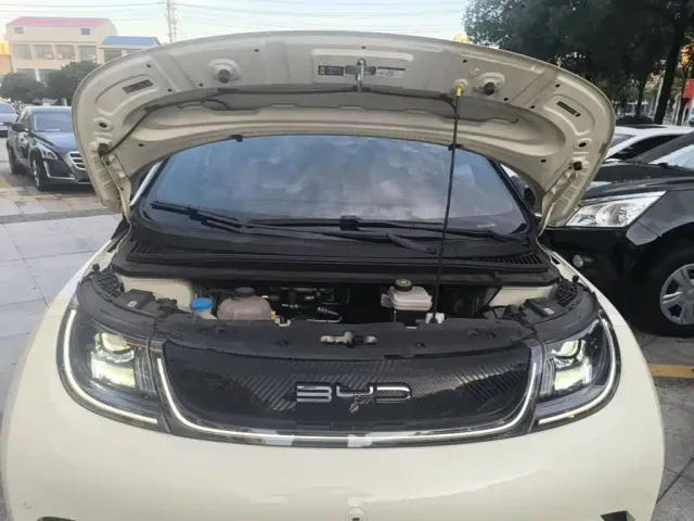BYD Dolphin — Фото автомобиля 15