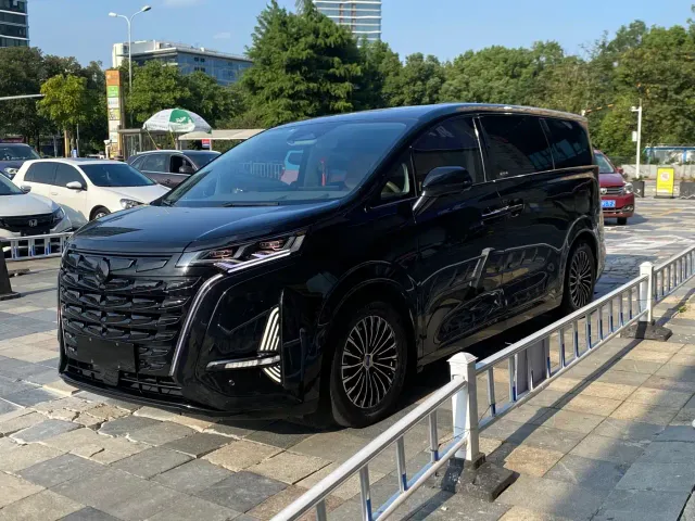 Фотография автомобиля — Denza D9