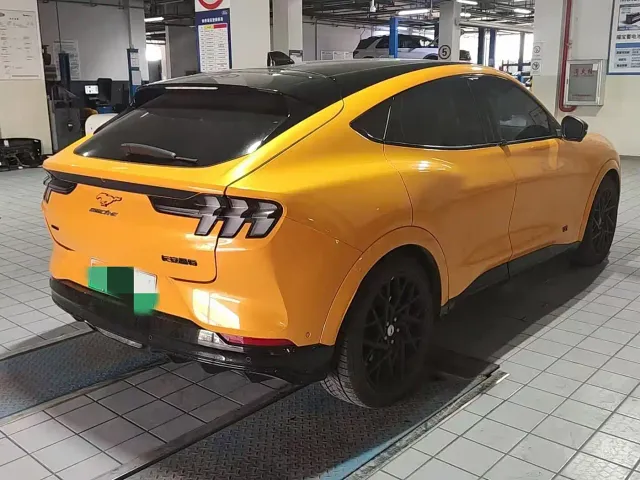 Ford Mustang Mach-E — Фото автомобиля 3