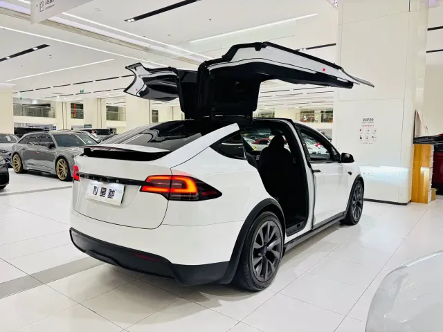 Tesla Model X — Фото автомобиля 5