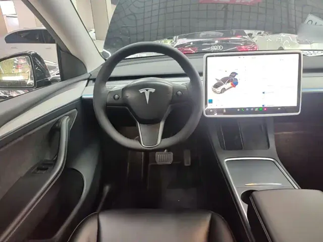 Tesla Model Y — Фото автомобиля 10