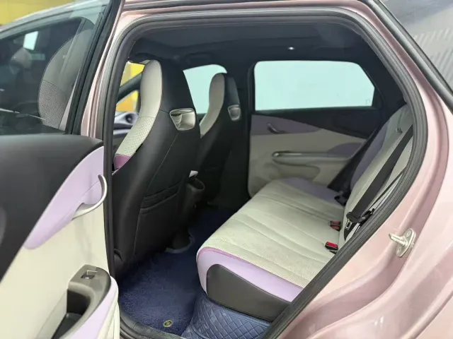 BYD Dolphin 2023 420km Fashion Edition — Фото автомобиля 6